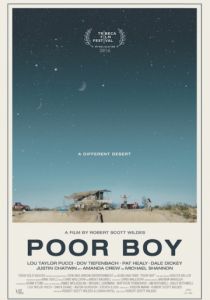 Бедный мальчик (2016)