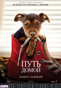 Путь домой (2019)