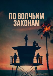По волчьим законам (2016)