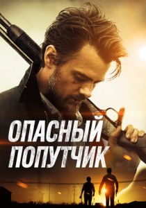 Опасный попутчик (2014)