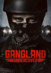 Под прикрытием (2015)