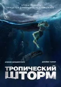 Тропический шторм (2022)
