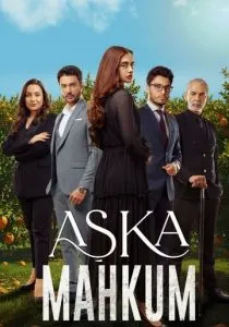 Заключенный любви (2025)